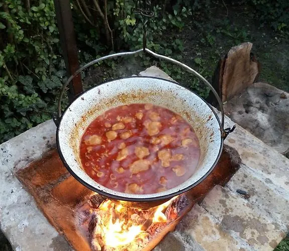 Galamb * Σίοφοκ